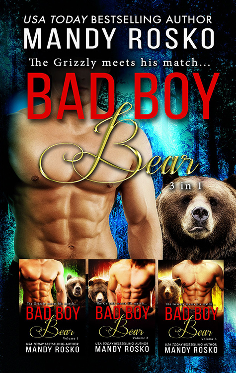 Book Cover: Bad Boy Bear