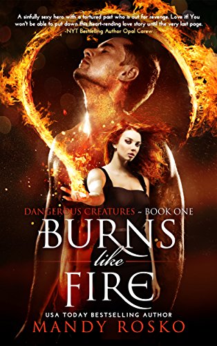 Book Cover: Burns Like Fire